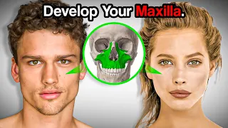 This Bone Determines Your Attractiveness Full Guide