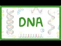 Download Lagu GCSE Biology - What is DNA? (Structure and Function of DNA)