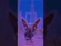 Download Lagu Bom Diggy Diggy 💫🍂 || Slowed+Reverb || WhatsApp Status || Lyric Mahi #aesthetic #trend #song #lofi