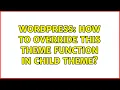 Wordpress How to override this theme function in child theme