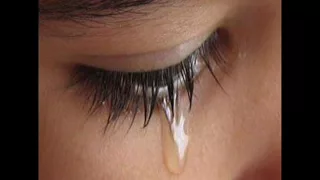 اغنية شفيقة الجديدة 2013 توزيع العفريت احمد جمعة 