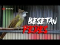 Download Lagu JENGGOT GACOR FULL BESET SPED PAS BUAT MASTERAN