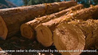 unlocking the potential of japanese timber quality and safety