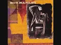 Download Lagu Bob Marley - Kinky Reggae (Chant down Babylon album)
