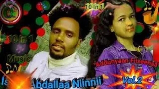Iskee Abdallaa Loniin Boobaa Ofaa Best Ethiopian Oromo Music 2020 