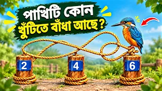 পাখিটি কোন খুঁটিতে বাঁধা? 🤔 | ৯৯% মানুষই ভুল উত্তর দেবে! 😱