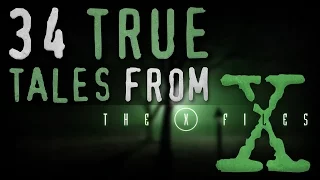 34 Strange True Tales From The X-Files Bigfoot Alien Glitch in the Matrix Stories