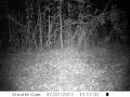 Trackside Camera 055