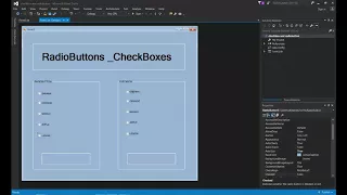 VISUAL BASIC how to code radiobutton checkbox