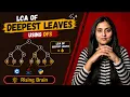 Lowest Common Ancestor of Deepest Leaves Binary Tree DFS Java Python C