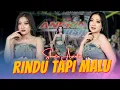 Download Lagu Shinta Arsinta - RINDU TAPI MALU (Official Music Video ANEKA SAFARI)