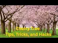 Download Lagu Verzorging van kersenbloesembomen | Hoe, tips, trucs en hacks