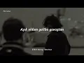 Erkin Koray -Sevince (Sözleri) #80ler