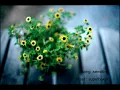 sensitive - superbaker