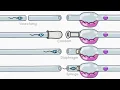 How Does Birth Control Work