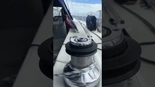 Great sailing today