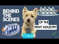 PRINT FACILITY TOUR Ft Blue Inside BP Solutions Group Asheville NC