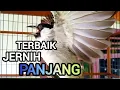Download Lagu #1 KUTILANG GACOR ISIAN KAPAS TEMBAK TERBAIK SUARA JERNIH AMPUH UNTUK MASTERAN KUTILANG JUARA