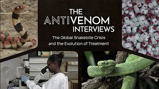 Antivenom Interview