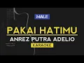 Lagu Pakai Hatimu - Anrez Putra Adelio (Karaoke Lirik)