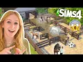 Download Lagu Luxe PADDOCKS van mijn SIMS PAARDEN MANEGE bouwen! 🤩 + BRAND OP STAL! 😱🔥