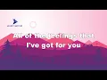 Janelle Monae - Make Me Feel (Lyrics)