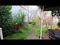Download Lagu Overgrown Garden Time Lapse: Full Garden Renovation | Restoration