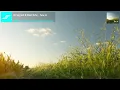 DJ Spyroof \u0026 Silent Echo - Tune In