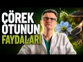 Her Derde Deva Corek Otu - Yagi Mi Tohumu Mu