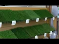 Arroyo Grande brings back Cash for Grass rebate program