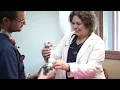 Metamora Veterinarian Local Vet Hospital for Small Animals