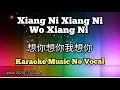 Xiang Ni Xiang Ni Wo Xiang Ni 想你想你我想你 karaoke no vocal