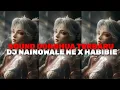 Lagu SOUND DONGHUA TERBARU DJ NAINOWALE X HABIBIE