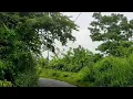 Download Lagu Road to Nilgiri | Teaser | Bandarban