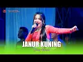 Lagu JANUR KUNING - DESSY RAFAELA - OM SAVAN SAKJOSE - THE WEDDING ANDRA \u0026 YUYUN
