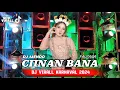 Download Lagu DJ CIINAN BANA VIRALL KARNAVAL YANG KALIAN CARI || DJ CIINAN BANA KARNAVAL 2024