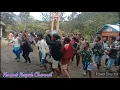 Download Lagu @Wamena_Wisisi_Nasput_2023🎶🎥Wisisi_Aster_Hambur📸🍂🌿