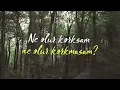 deli divane sezen aksu