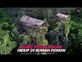 Download Lagu Korowai, Suku Yang Tinggal di Atas Pohon Hutan Belantara Papua