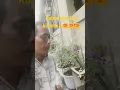 Download Lagu DALAM SEPIKU KAULAH CANDAKU - ANDRA RESPATI,GISMA WANDIRA - (@Riski Dora Channel cover)