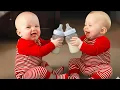 Lagu A MUST: Funniest Baby Reactions Moments - Funny Babies Video || COOL PEACHY🍑