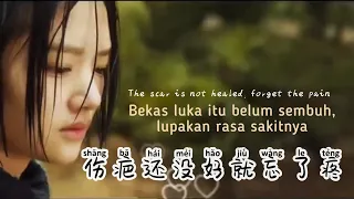 Download Shang Ba Hai Mei Hao Jiu Wang Le Teng  伤疤还没好就忘了疼 Lagu Mandarin Subtitle Indonesia Terjemahan MP3