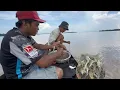 Download Lagu Ca Sĩ giấu mặt ra tay đánh mẻ Câu không ngờ trúng mánh Cá Phèn quá nhiều 