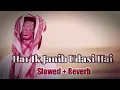 Har Ik Janib Udasi Hai - Slowed Reverb - Emotional Nasheed