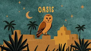 KSHMR Ampermut Gobi Desert Collective TEJA - Oasis