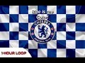 Download Lagu Chelsea Song: Blue is the Colour! 1-Hour Loop!