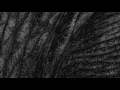 Deft - Cat Like Thief