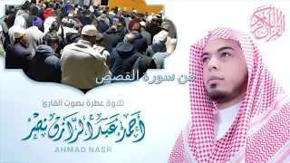 الشيخ أحمد عبدالرازق نصر من سورة القصص 
