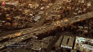 doberman infinity jump around 