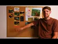 Recreating a River Habitat for Shy Nano Knifefish